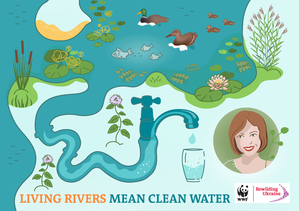 Living rivers mean clean drinking water | Danube Delta