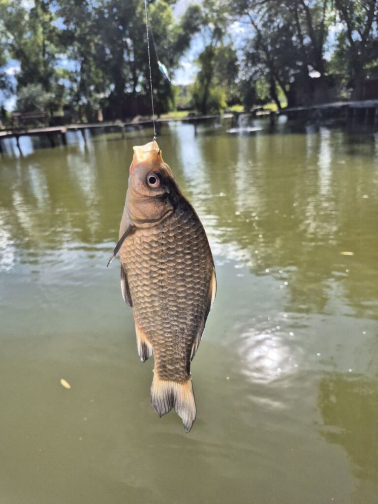 Багато рибалки