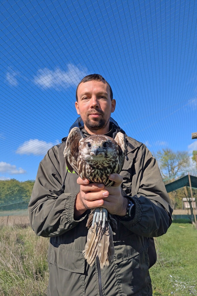 Фахівець Київського зоопарку під час випуску