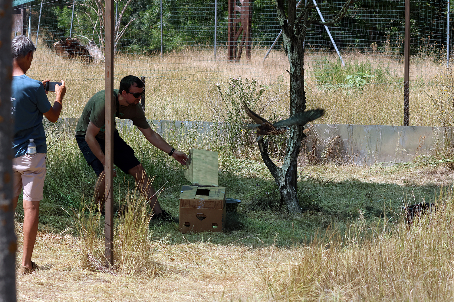 У адаптаційному вольєрі