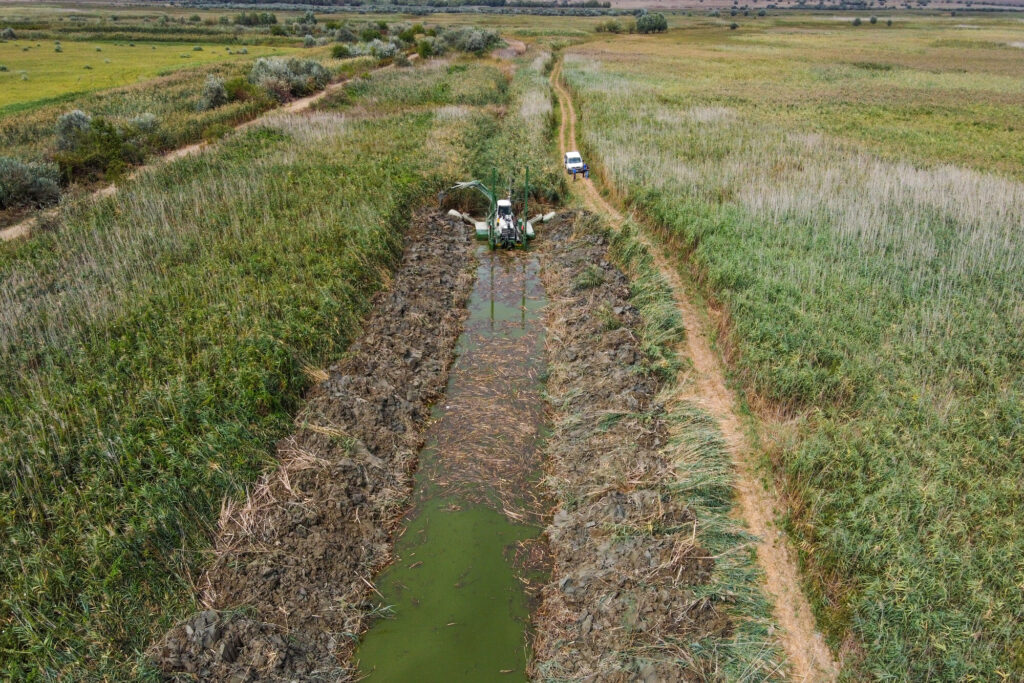 An aquatic excavator clears a natural channel between Lake Kartal and the Danube river that has silted up due to artificial water flow. Danube Delta, Ukraine.