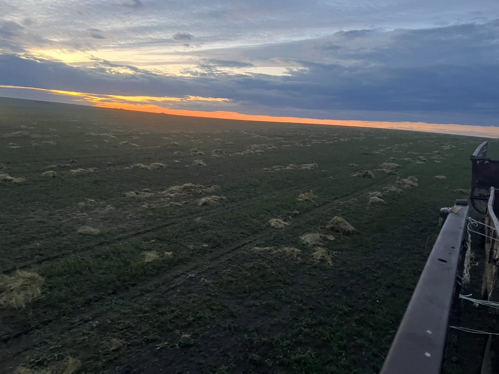 During the steppe restoration works Під час робіт з відновлення степу. During the steppe restoration works