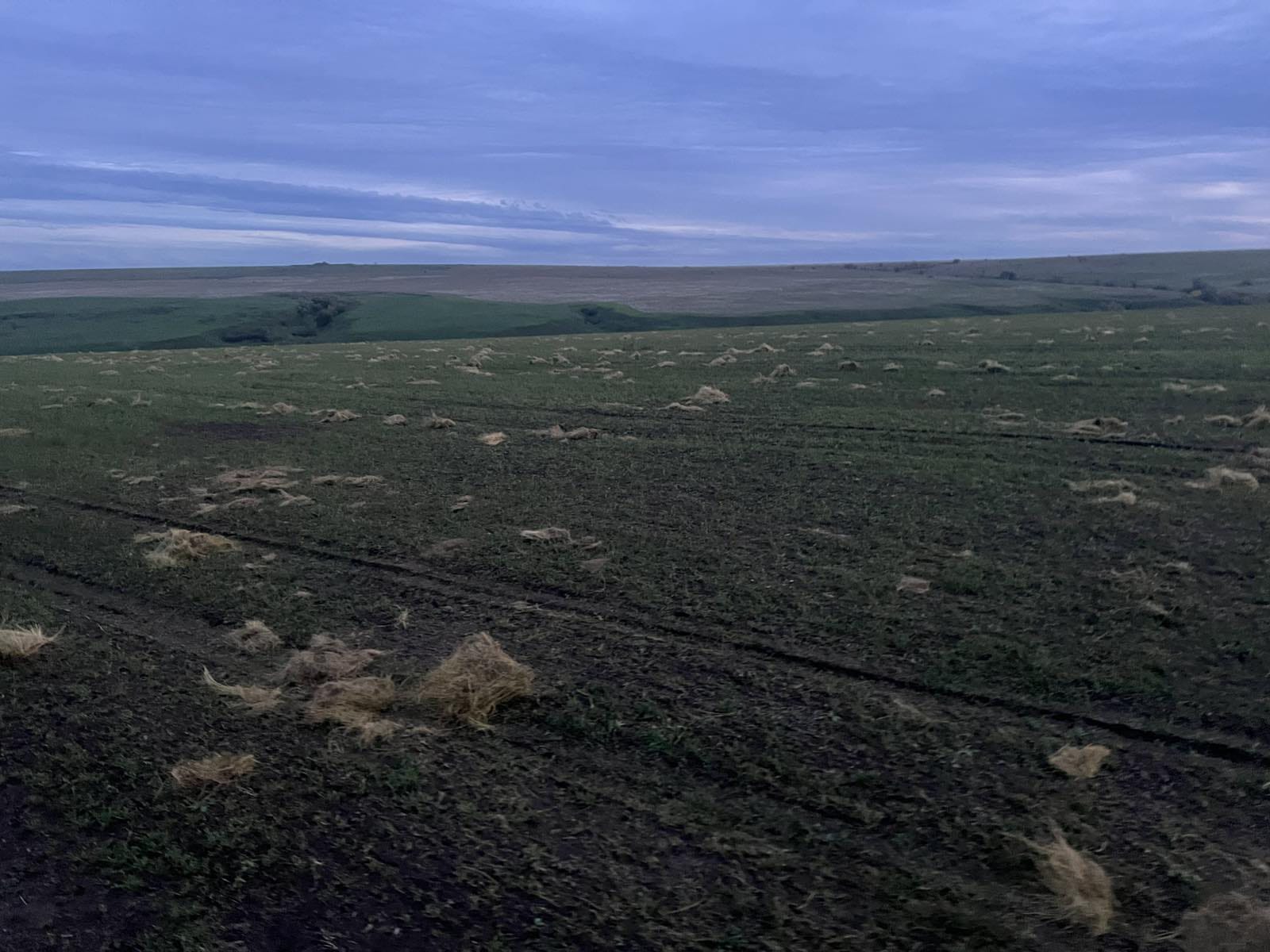 During the steppe restoration works During the steppe restoration works